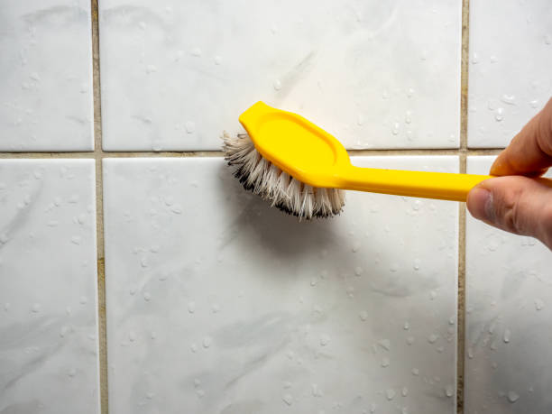 Brice Prairie, WI Mold Removal Company