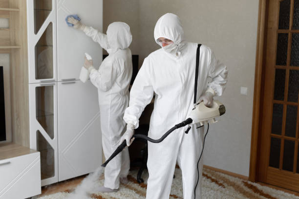 Mold Removal Process in Brice Prairie, WI