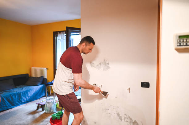 Best Toxic Mold Removal  in Brice Prairie, WI